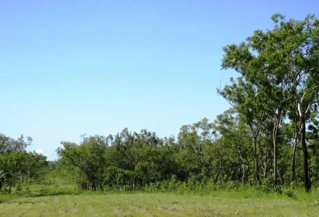 Third view of Homely land listing, 1680 Coach Road, Batchelor NT 845