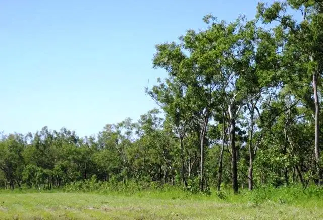 Fifth view of Homely land listing, 1680 Coach Road, Batchelor NT 845