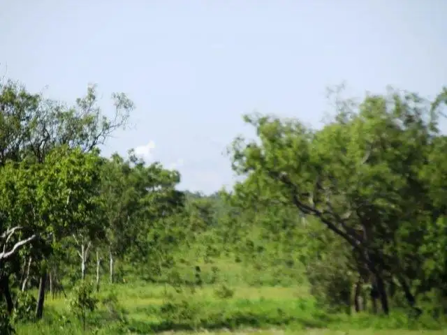 Sixth view of Homely land listing, 1680 Coach Road, Batchelor NT 845