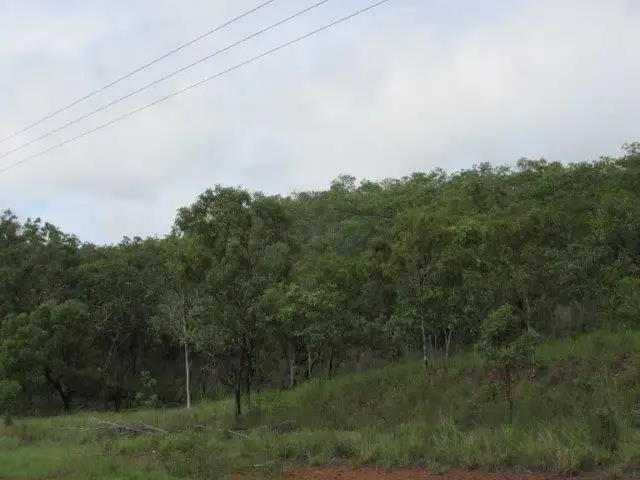 Third view of Homely land listing, Level 237, LOT 237 Stuart Highway, Coomalie Creek NT 822