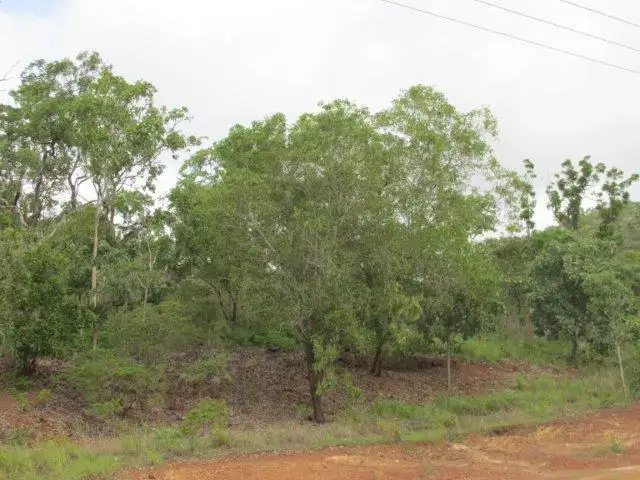 Fourth view of Homely land listing, Level 237, LOT 237 Stuart Highway, Coomalie Creek NT 822