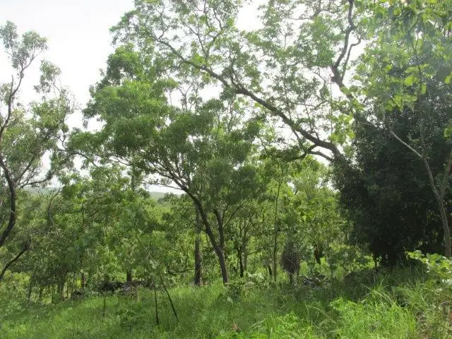 Fifth view of Homely land listing, Level 237, LOT 237 Stuart Highway, Coomalie Creek NT 822