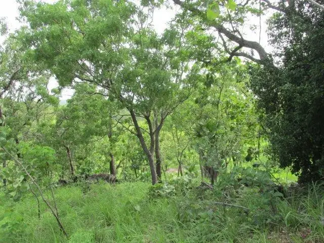 Sixth view of Homely land listing, Level 237, LOT 237 Stuart Highway, Coomalie Creek NT 822