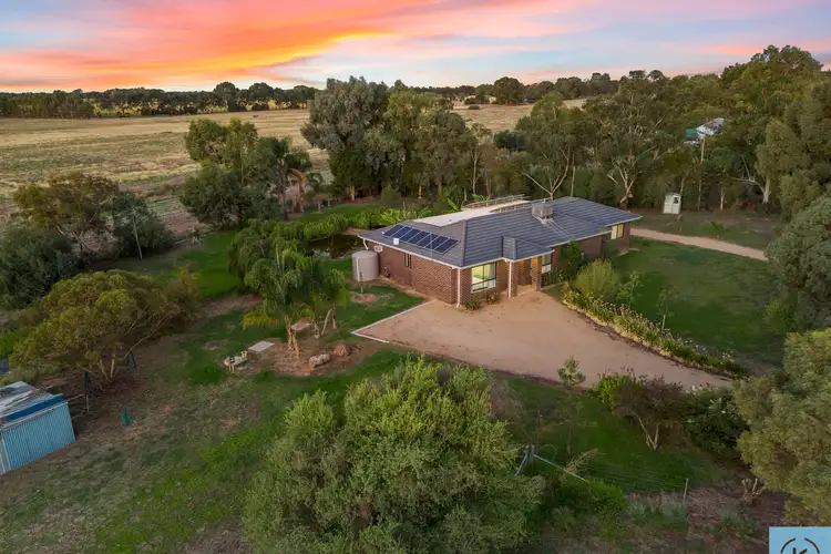 55 Honniball Drive, Tocumwal NSW 2714