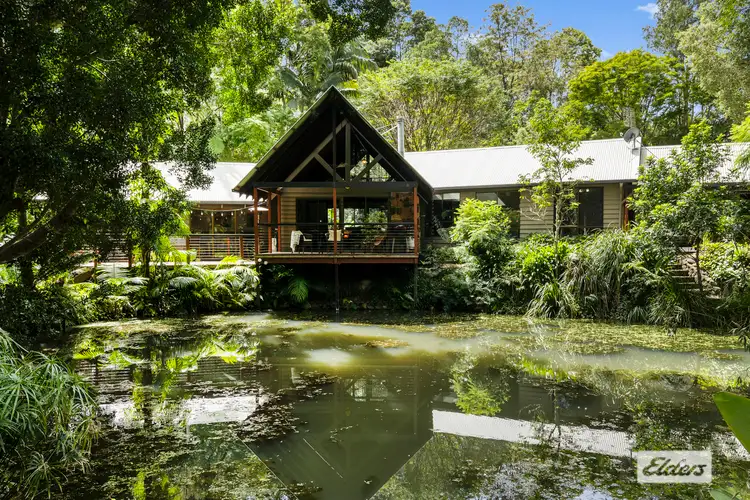 409 Kunghur Creek Road, Kunghur Creek NSW 2484