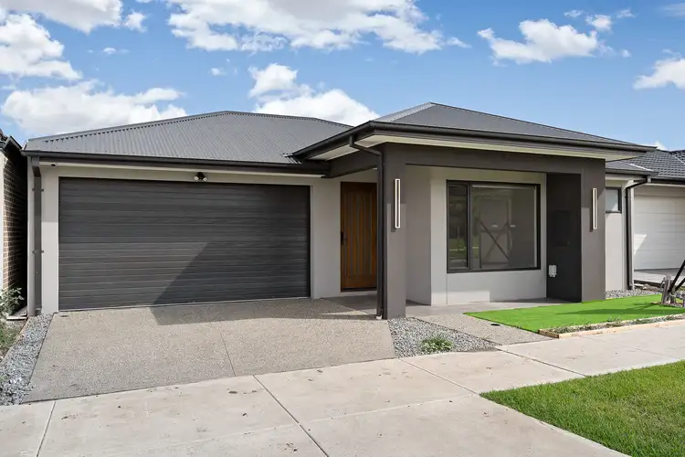 14 Mckinnon Street