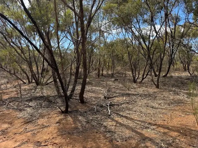 Main view of Homely rural property listing, LOT 2 Josephine Drive, Wedderburn VIC 3518