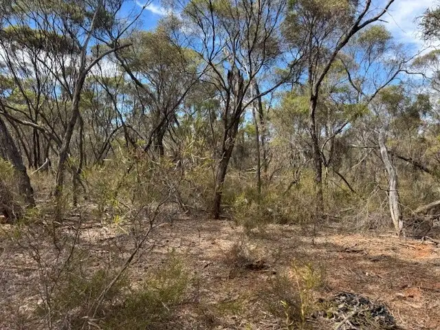 Fifth view of Homely rural property listing, LOT 2 Josephine Drive, Wedderburn VIC 3518