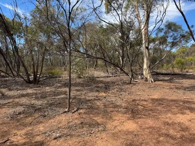 Seventh view of Homely rural property listing, LOT 2 Josephine Drive, Wedderburn VIC 3518