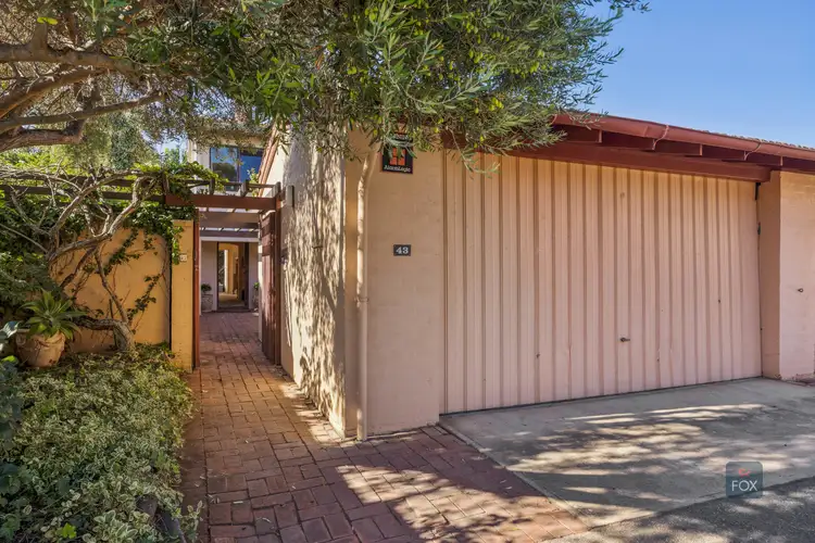 43 Francis Street West, North Adelaide SA 5006