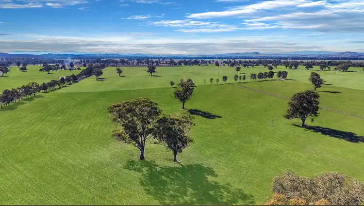 92 Stoney Hill Road, Cowra NSW 2794