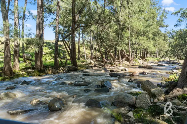 Fourth view of Homely rural property listing, 2148 Mirannie Road, Singleton NSW 2330