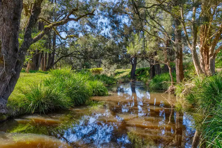 Third view of Homely rural property listing, Lot 612 Monkerai Road, Dungog NSW 2420