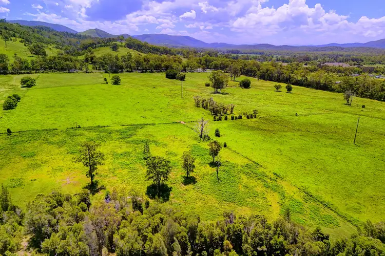 Sixth view of Homely rural property listing, Lot 8 Pacific Highway, Failford NSW 2430