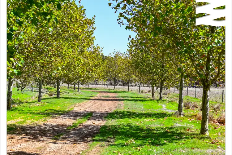 Seventh view of Homely rural property listing, LOT 81 O'Neill Road, Mount Barker WA 6324
