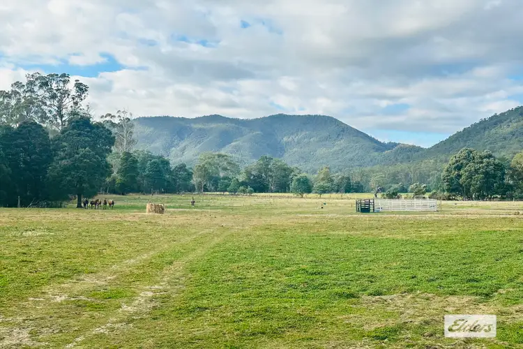- Lowana Road, Gunns Plains TAS 7315