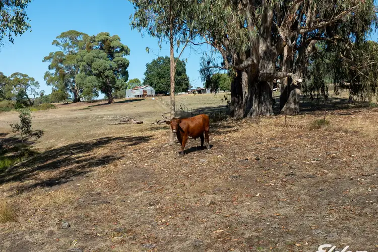 Fourth view of Homely rural property listing, 124 Watkins Road, Creek Junction via, Strathbogie VIC 3666