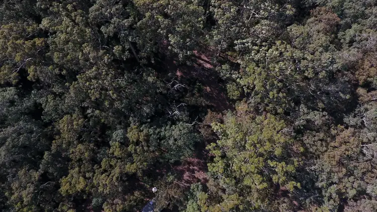 Third view of Homely land listing, 43 Mira Flores Avenue, Porongurup WA 6324