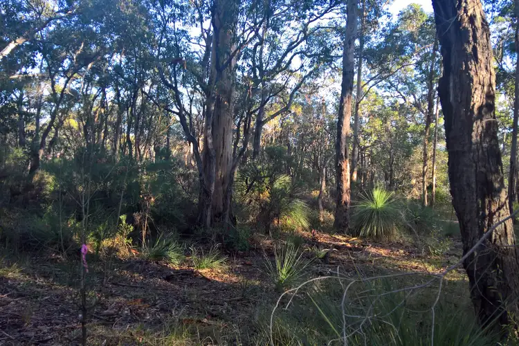 Fifth view of Homely land listing, 43 Mira Flores Avenue, Porongurup WA 6324