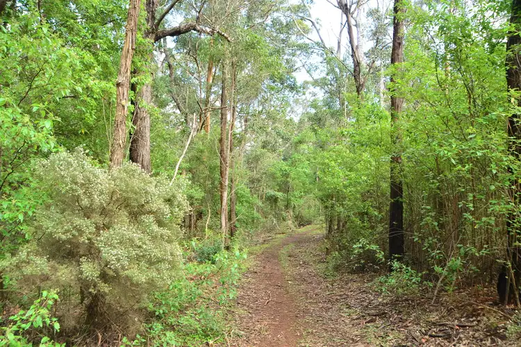 Sixth view of Homely land listing, 43 Mira Flores Avenue, Porongurup WA 6324