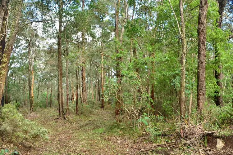 Seventh view of Homely land listing, 43 Mira Flores Avenue, Porongurup WA 6324