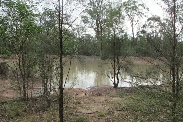 79 Forestry Road, Tara QLD 4421