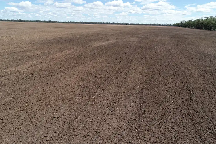 Fifth view of Homely rural property listing, 321 Millmerran-Cecil Plains Road, Millmerran QLD 4357