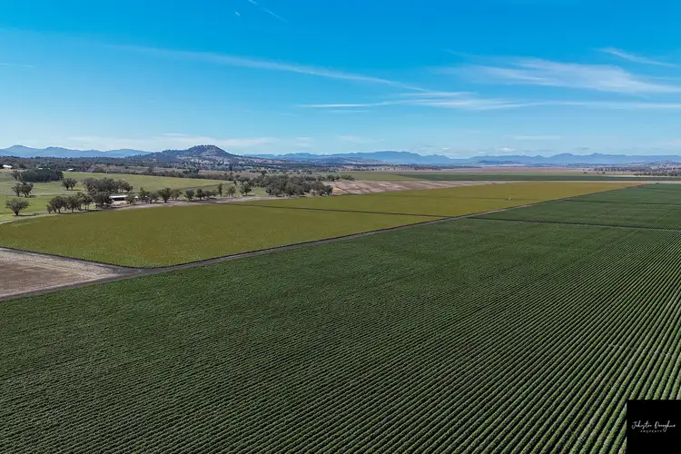 Seventh view of Homely rural property listing, 530 Warrah Ridge Road, Quirindi NSW 2343