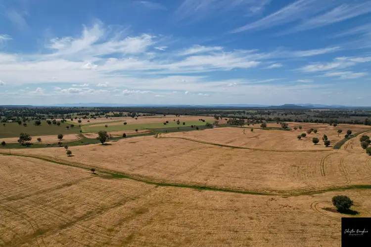 Main view of Homely rural property listing, 2106 Willala Road, Gunnedah NSW 2380