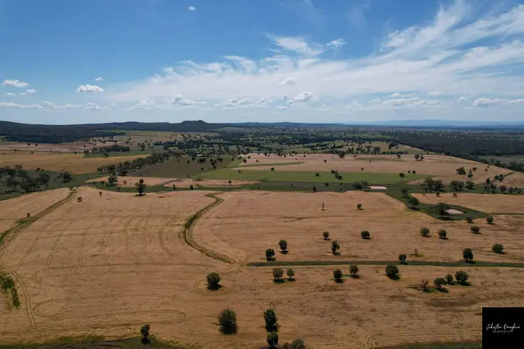 Third view of Homely rural property listing, 2106 Willala Road, Gunnedah NSW 2380
