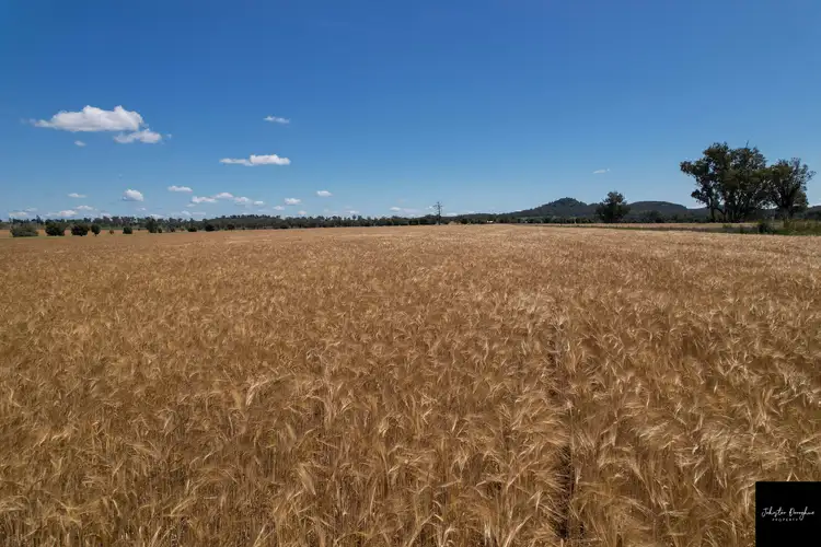 Fourth view of Homely rural property listing, 2106 Willala Road, Gunnedah NSW 2380