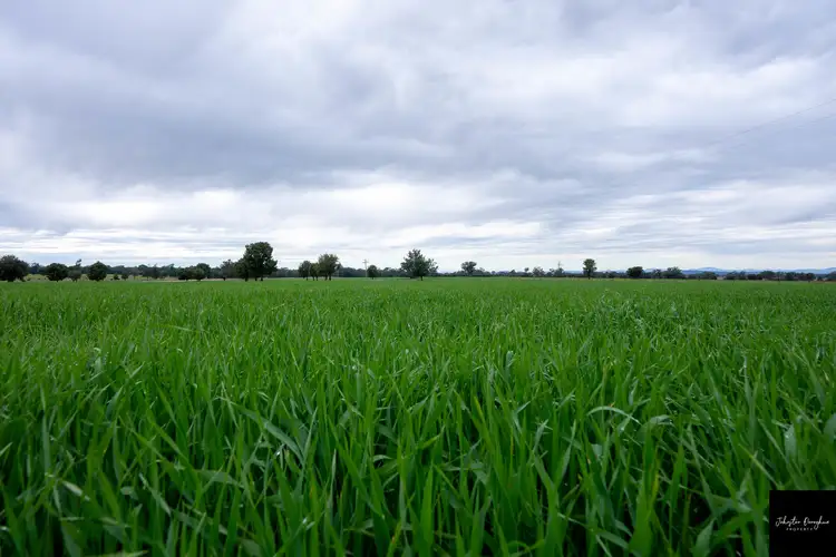 Sixth view of Homely rural property listing, 2106 Willala Road, Gunnedah NSW 2380