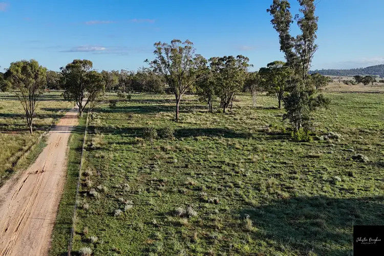 Third view of Homely rural property listing, 4049 Grain Valley Road, Boggabri NSW 2382