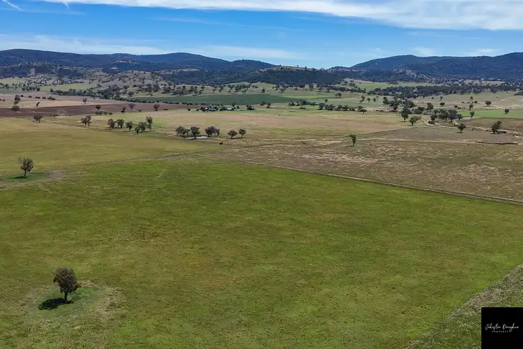 Second view of Homely rural property listing, 1822 Old Winton Road, Winton NSW 2344