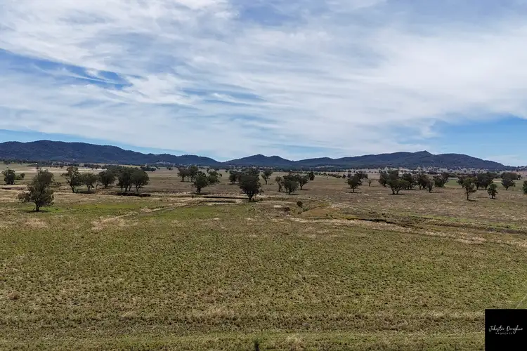 Seventh view of Homely rural property listing, 1822 Old Winton Road, Winton NSW 2344