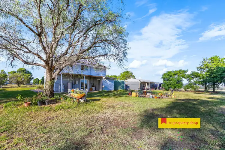 Fifth view of Homely rural property listing, 126 Beryl Road, Gulgong NSW 2852