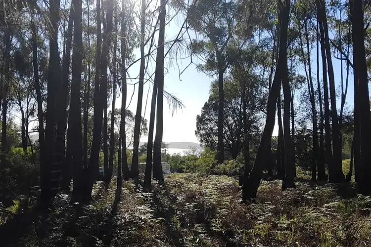 Lot 1 Poseidon Street, St Helens TAS 7216