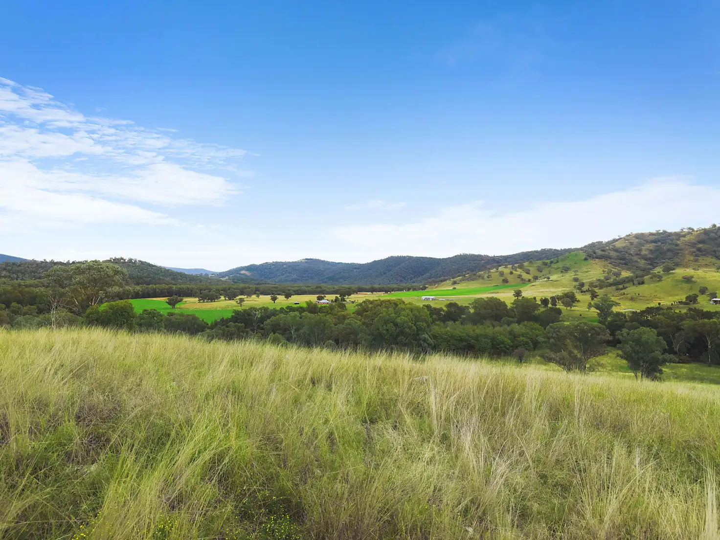 Main view of Homely rural property listing, 2187 Yarrabin Road, Mudgee NSW 2850