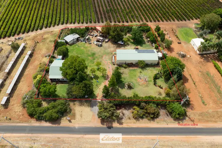 Main view of Homely rural property listing, 47 Azolia Street, Red Cliffs VIC 3496