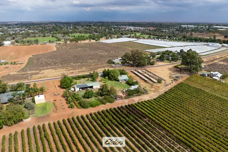 Second view of Homely rural property listing, 47 Azolia Street, Red Cliffs VIC 3496