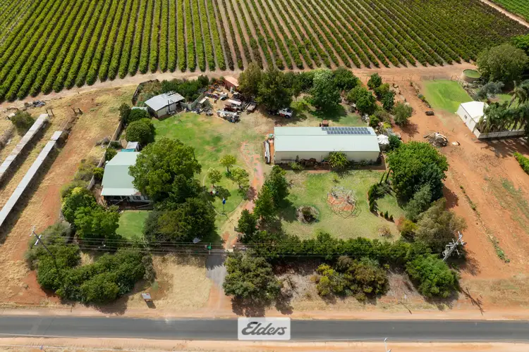 Third view of Homely rural property listing, 47 Azolia Street, Red Cliffs VIC 3496