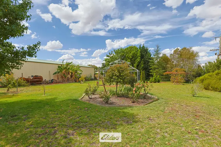 Fourth view of Homely rural property listing, 47 Azolia Street, Red Cliffs VIC 3496