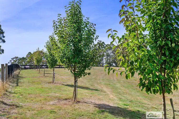 Third view of Homely rural property listing, 89 Lyons Road, Lapoinya TAS 7325