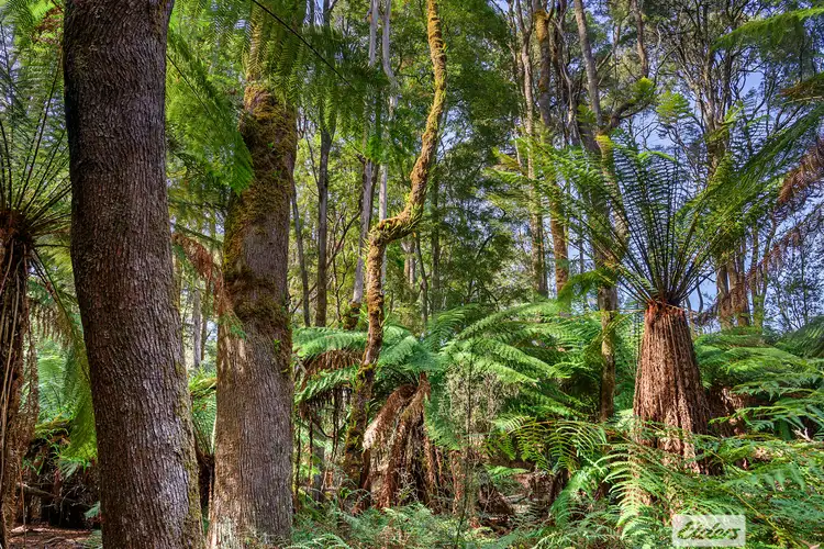 Sixth view of Homely rural property listing, 89 Lyons Road, Lapoinya TAS 7325