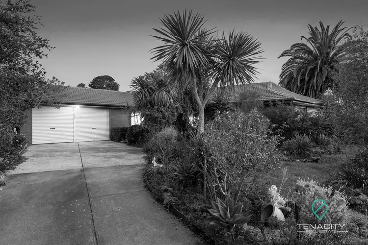 16 Morrow Place