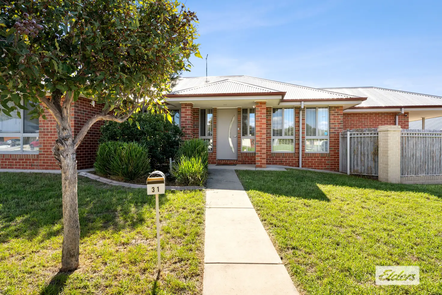 Main view of Homely house listing, 31 Murray Way, West Wodonga VIC 3690