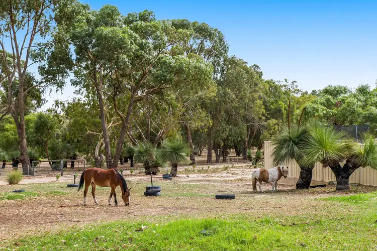 Sixth view of Homely house listing, 17 Tranmore Place, Woodridge WA 6041