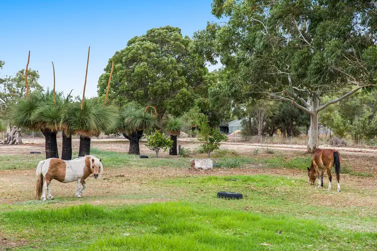 Seventh view of Homely house listing, 17 Tranmore Place, Woodridge WA 6041