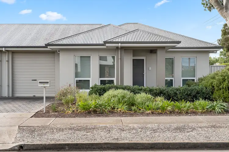 24 Riesling Avenue