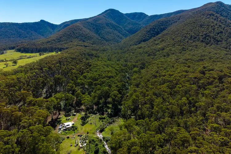 Main view of Homely rural property listing, 137 Yankees Gap Firetrail, Bemboka NSW 2550